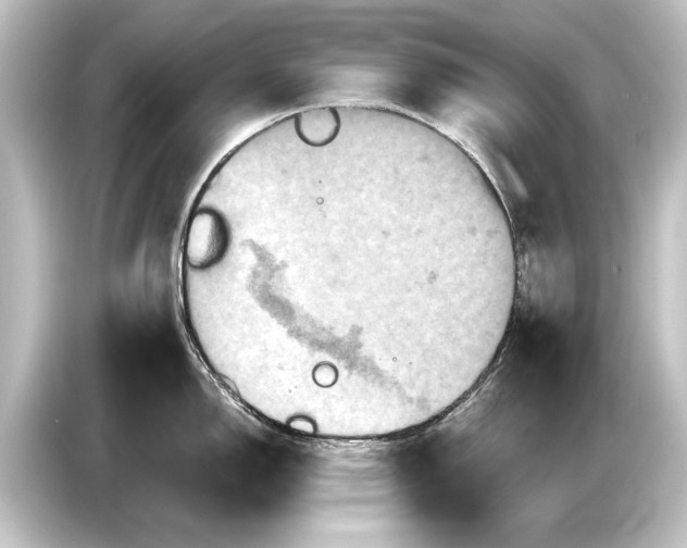 X0000084521150200703161543