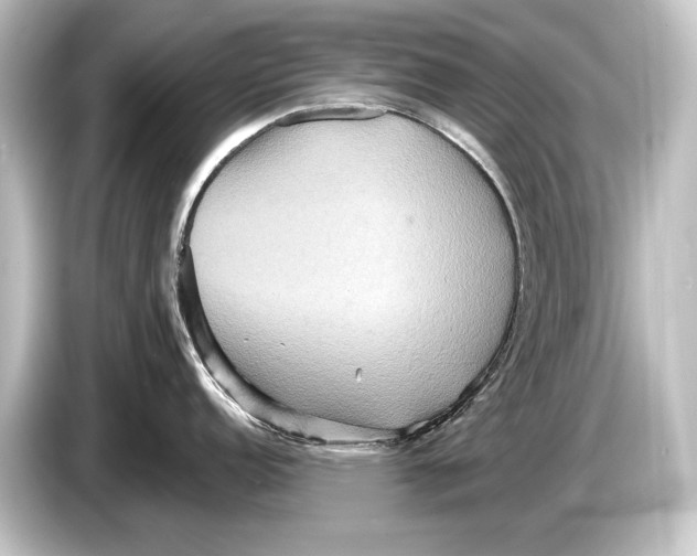 X0000084521152200703161543