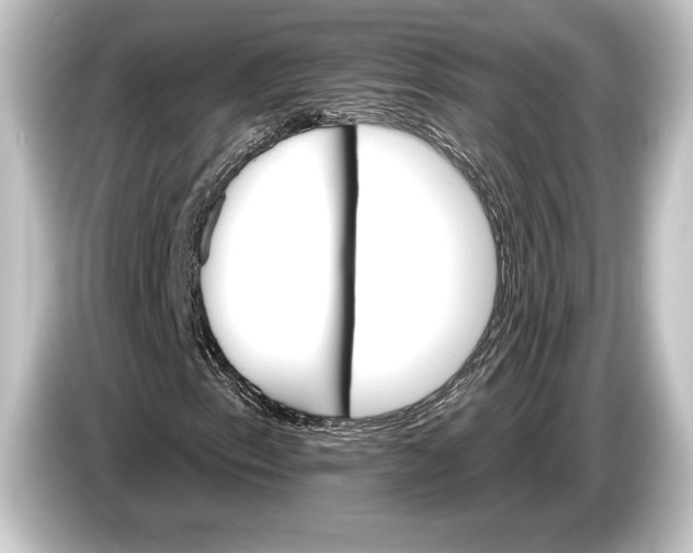 X0000084521153200703161542