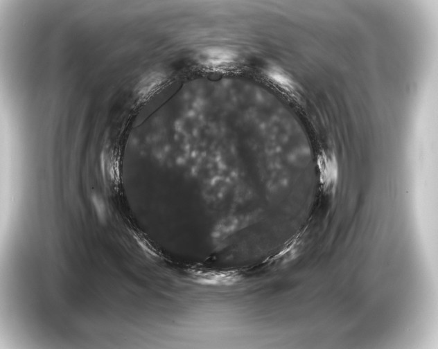 X0000084521155200703161542