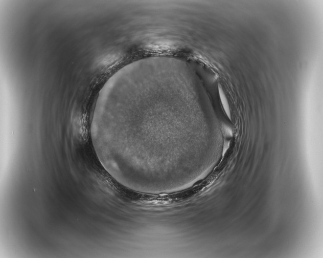 X0000084521156200703161542