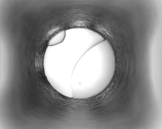 X0000084521158200703161542