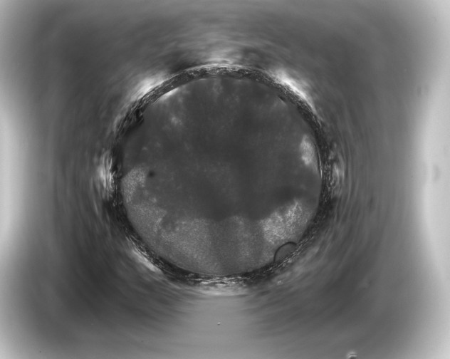 X0000084521159200703161542