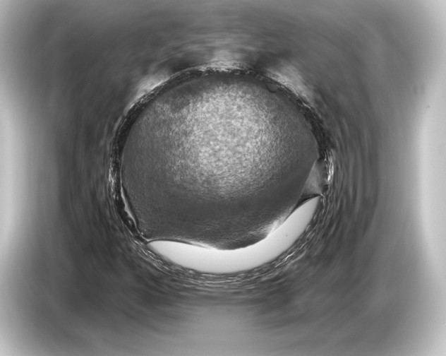 X0000084521160200703161542