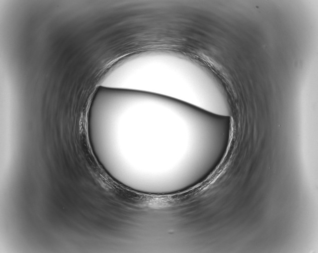 X0000084521161200703161542