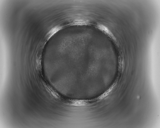 X0000084521162200703161542