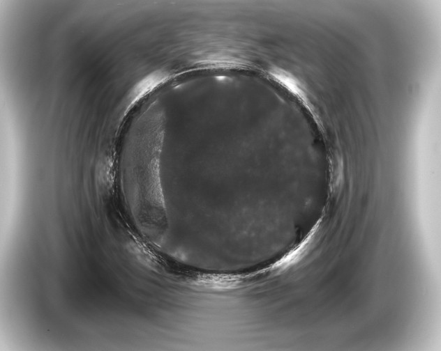 X0000084521163200703161542