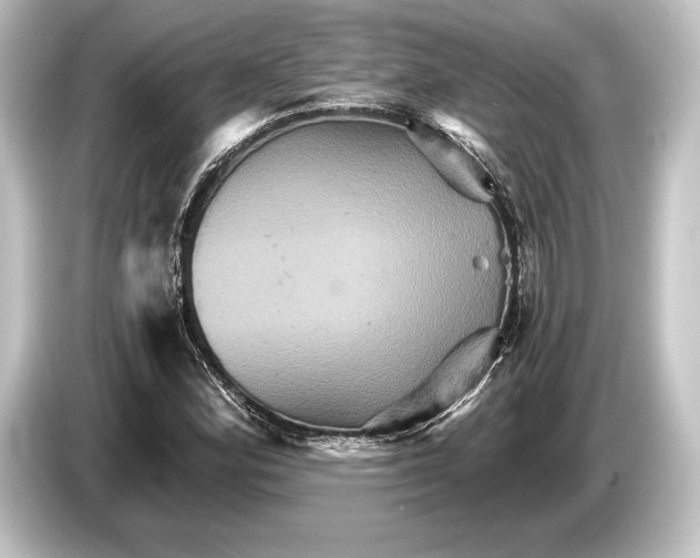 X0000084521164200703161542