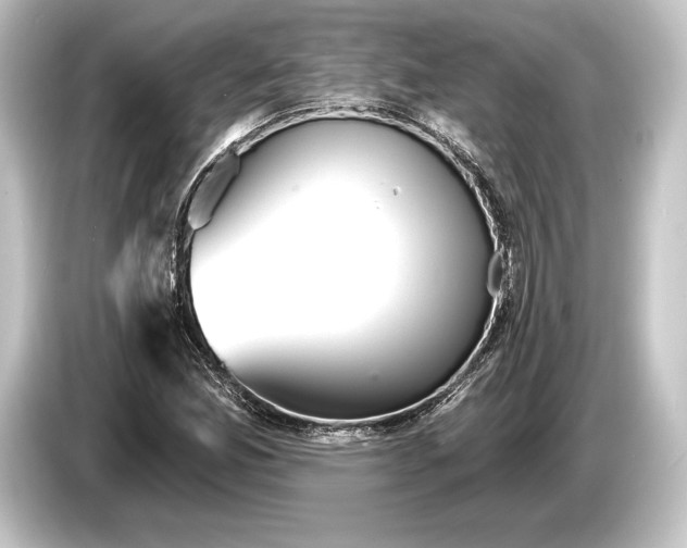 X0000084521165200703161542