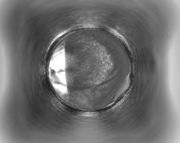 X0000084521166200703161542