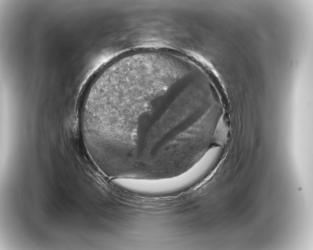 X0000084521167200703161542