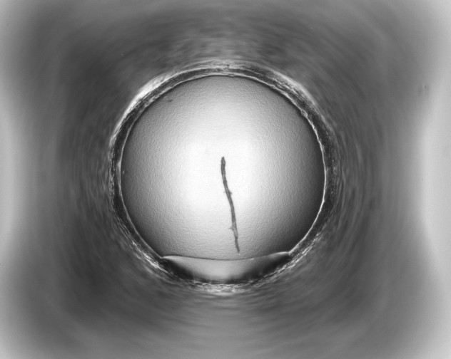 X0000084521168200703161542