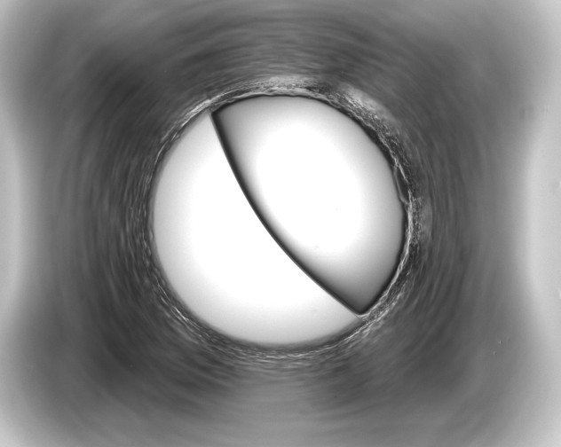 X0000084521169200703161542