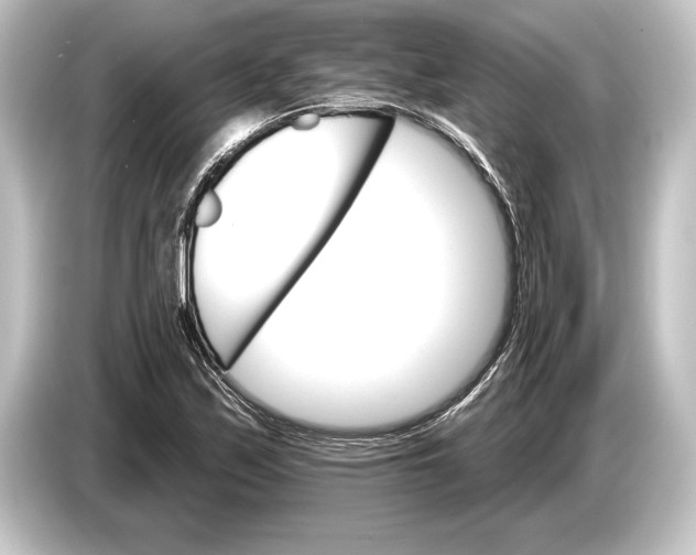 X0000084521171200703161542