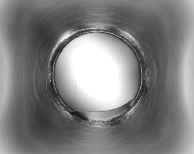 X0000084521172200703161542