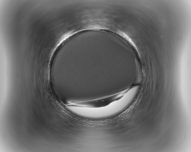 X0000084521173200703161542