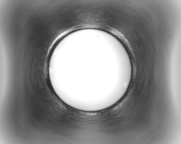 X0000084521174200703161542