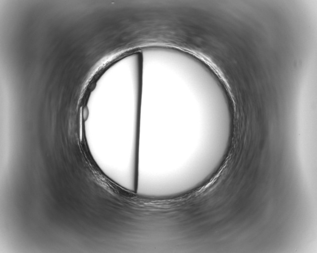 X0000084521175200703161542