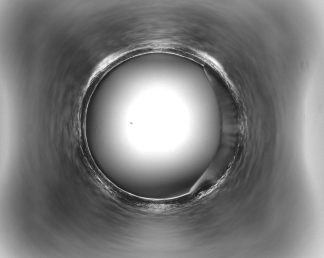 X0000084521176200703161542