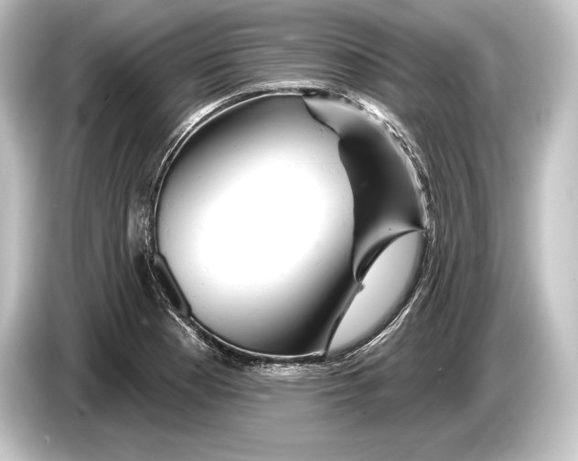 X0000084521177200703161542