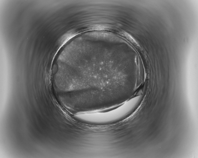 X0000084521178200703161542