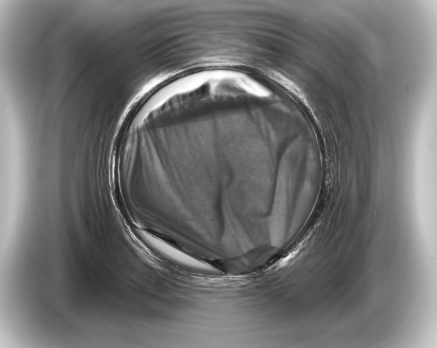 X0000084521179200703161542