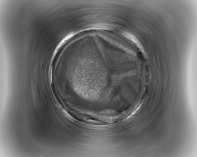 X0000084521180200703161542