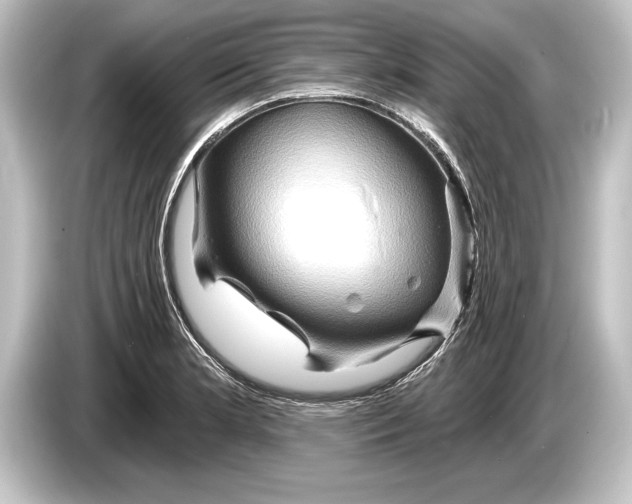 X0000084521181200703161542