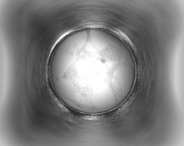 X0000084521182200703161542