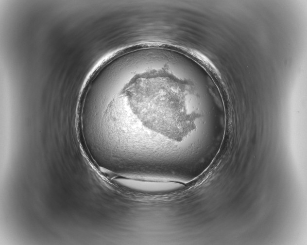 X0000084521183200703161542