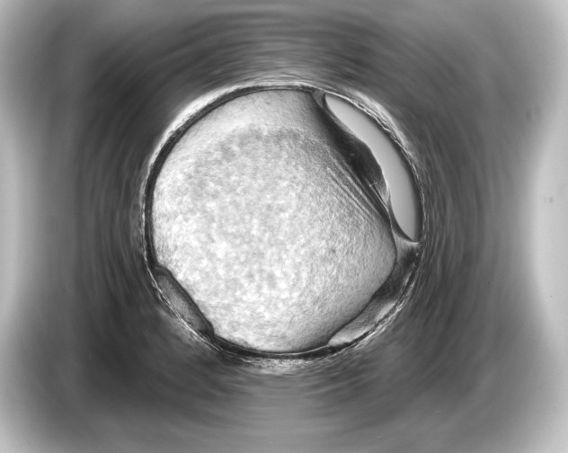 X0000084521184200703161542