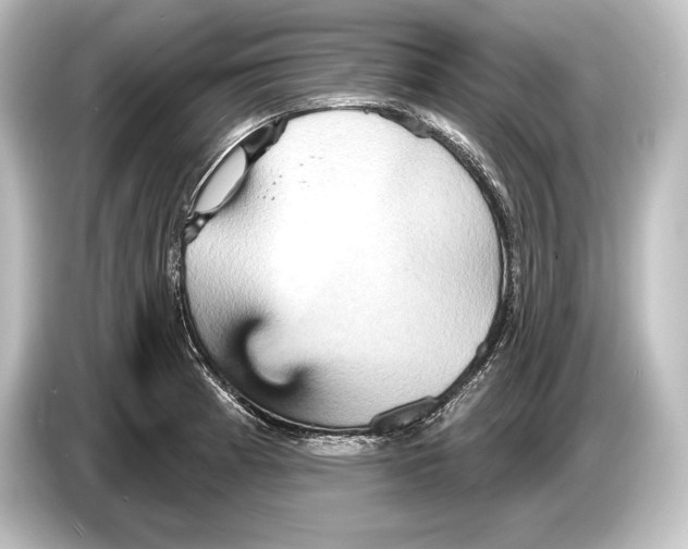 X0000084521185200703161542