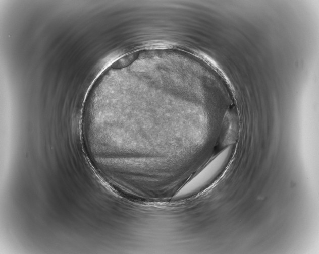 X0000084521186200703161542