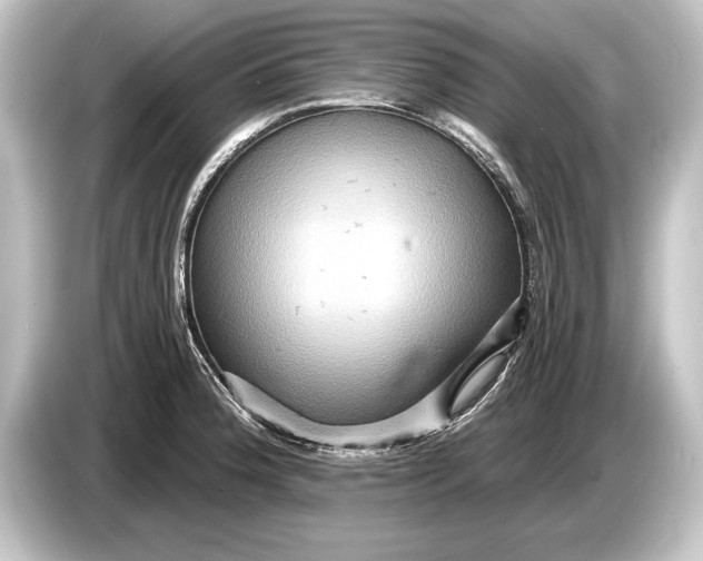 X0000084521188200703161542