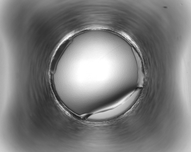 X0000084521189200703161542