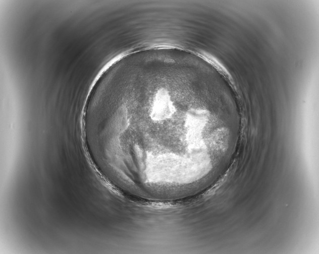 X0000084521190200703161542