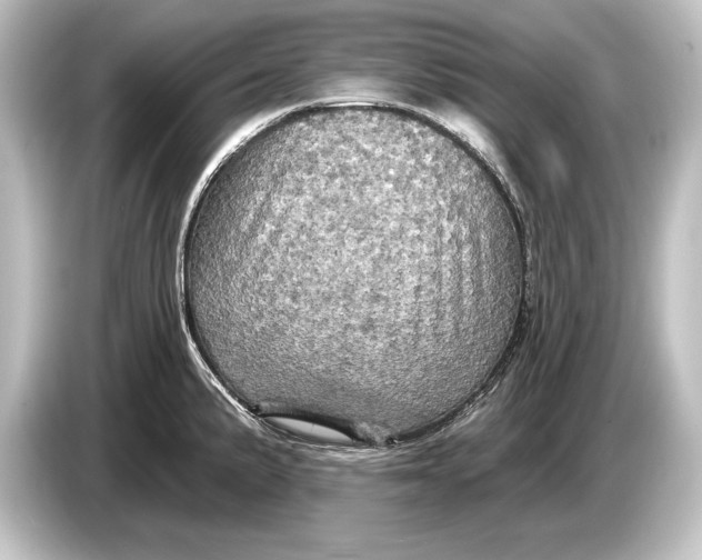 X0000084521191200703161542