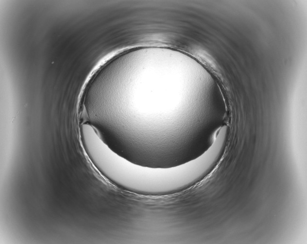 X0000084521192200703161542