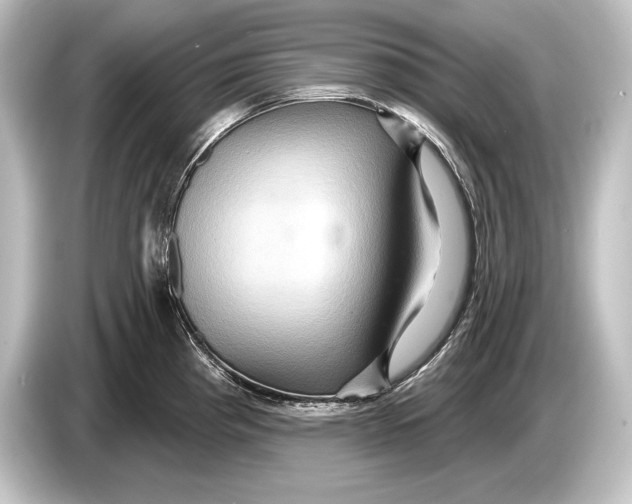 X0000084521193200703161542