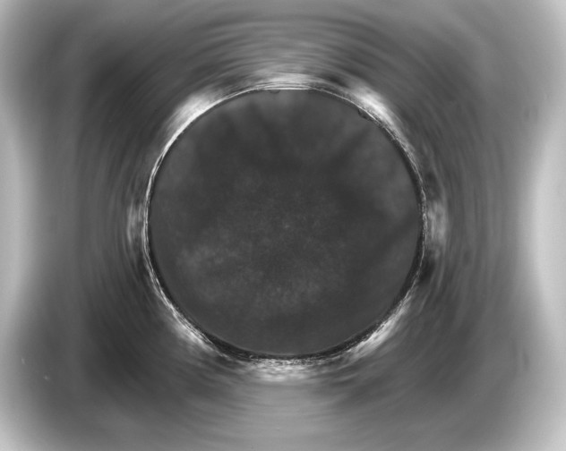 X0000084521194200703161542