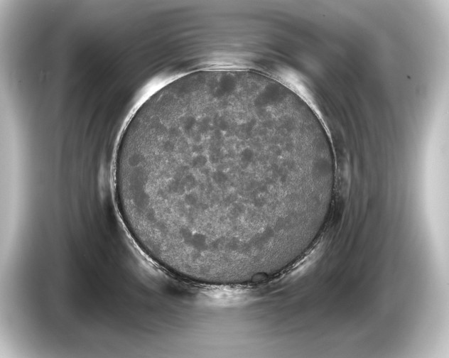 X0000084521195200703161542