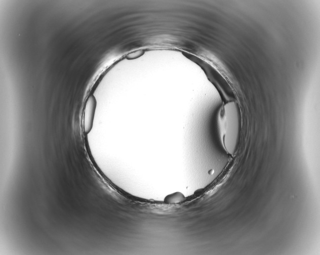 X0000084521196200703161542