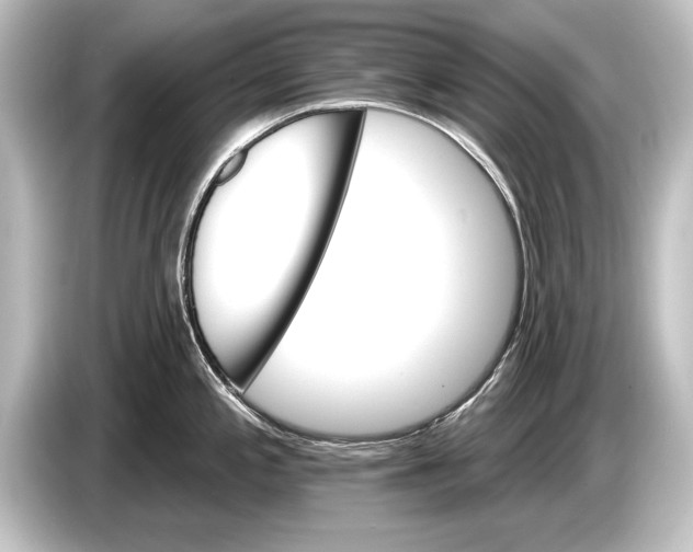 X0000084521197200703161541