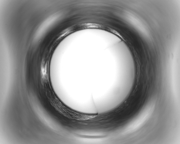 X0000084521198200703161541