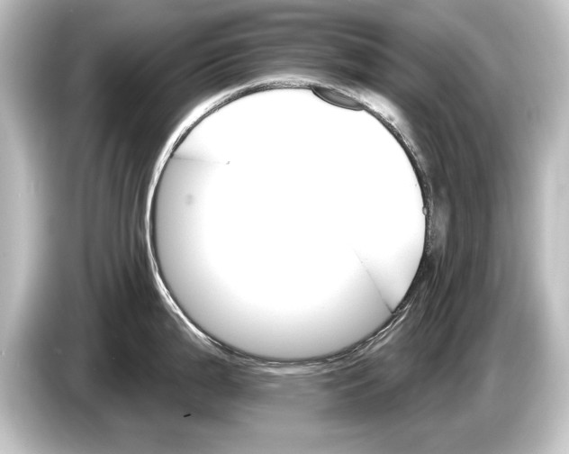 X0000084521199200703161541