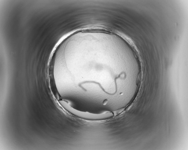 X0000084521200200703161541