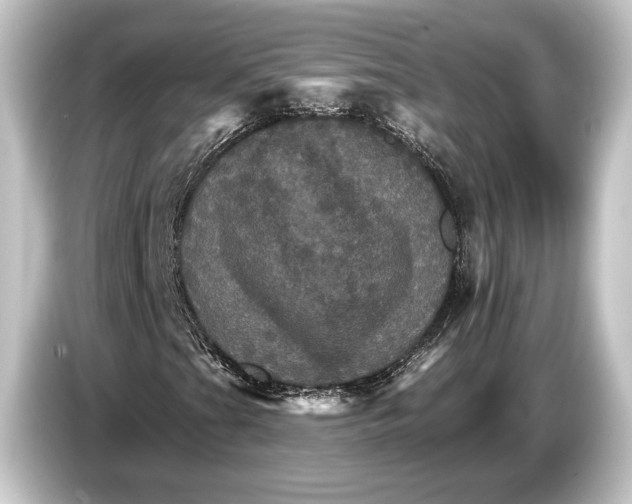 X0000084521201200703161541