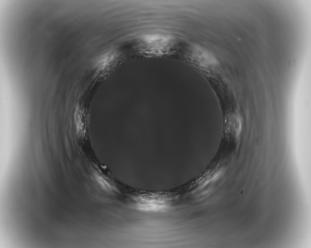 X0000084521202200703161541