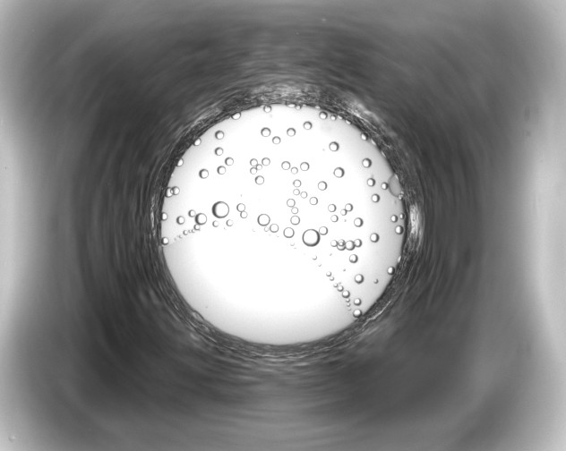 X0000084521203200703161541