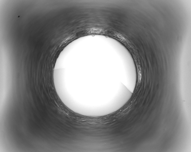 X0000084521204200703161541